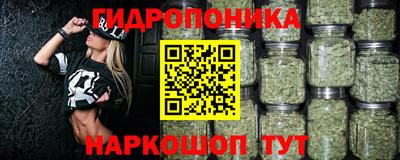 твердый Лесосибирск