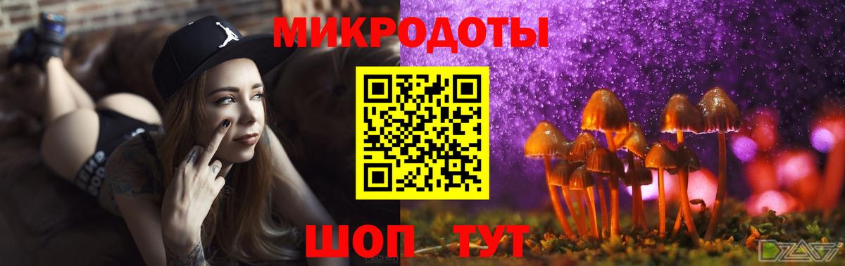 Псилоцибиновые грибы Magic Shrooms Каменка