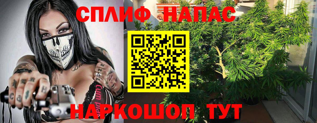 Бошки Шишки семена  Вход с VPN  МАРИХУАНА SATIVA & INDICA  Марихуана ГИДРОПОН  Каменка 